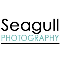 Seagull Photography 1074477 Image 6